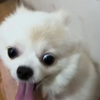 వెట్‌మెడిక్స్ కేస్ షేరింగ్